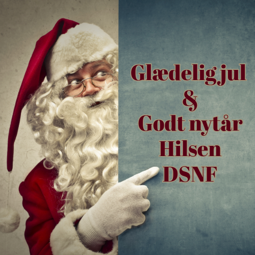 Glædelig jul - neurofysioterapi.dk